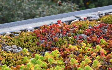 the cost of Upham green roof installation