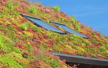 Upham living roof systems