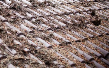 Upham roof cleaning companies